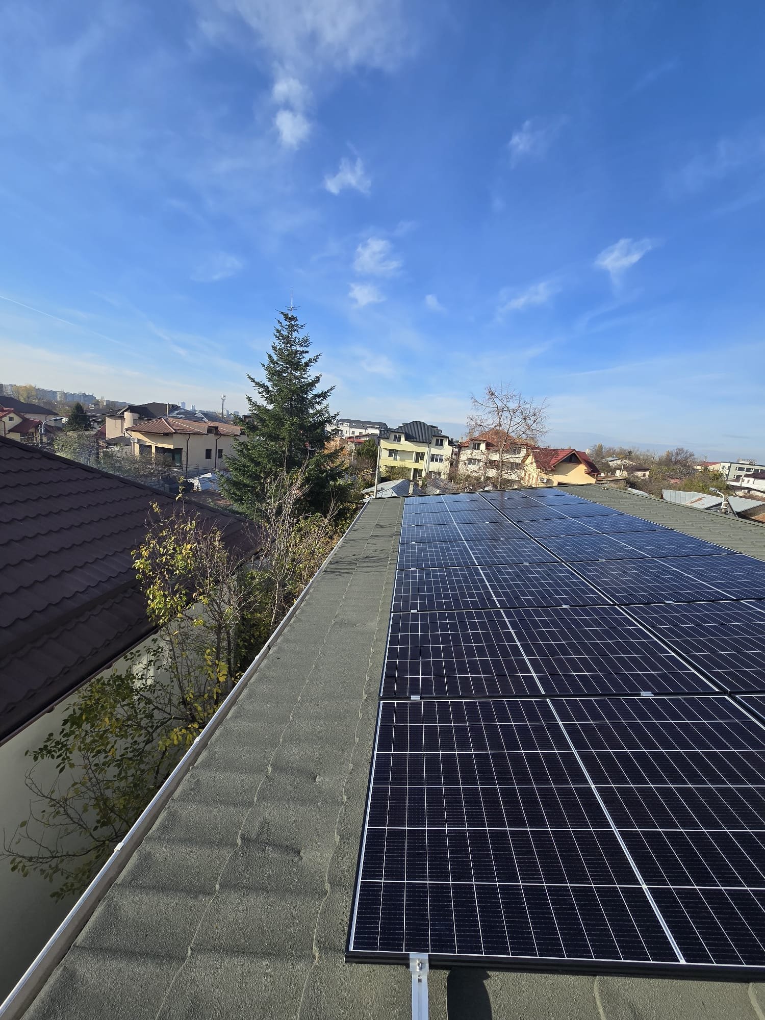 WhatsApp Image 2026-01-30 at 20.53.401