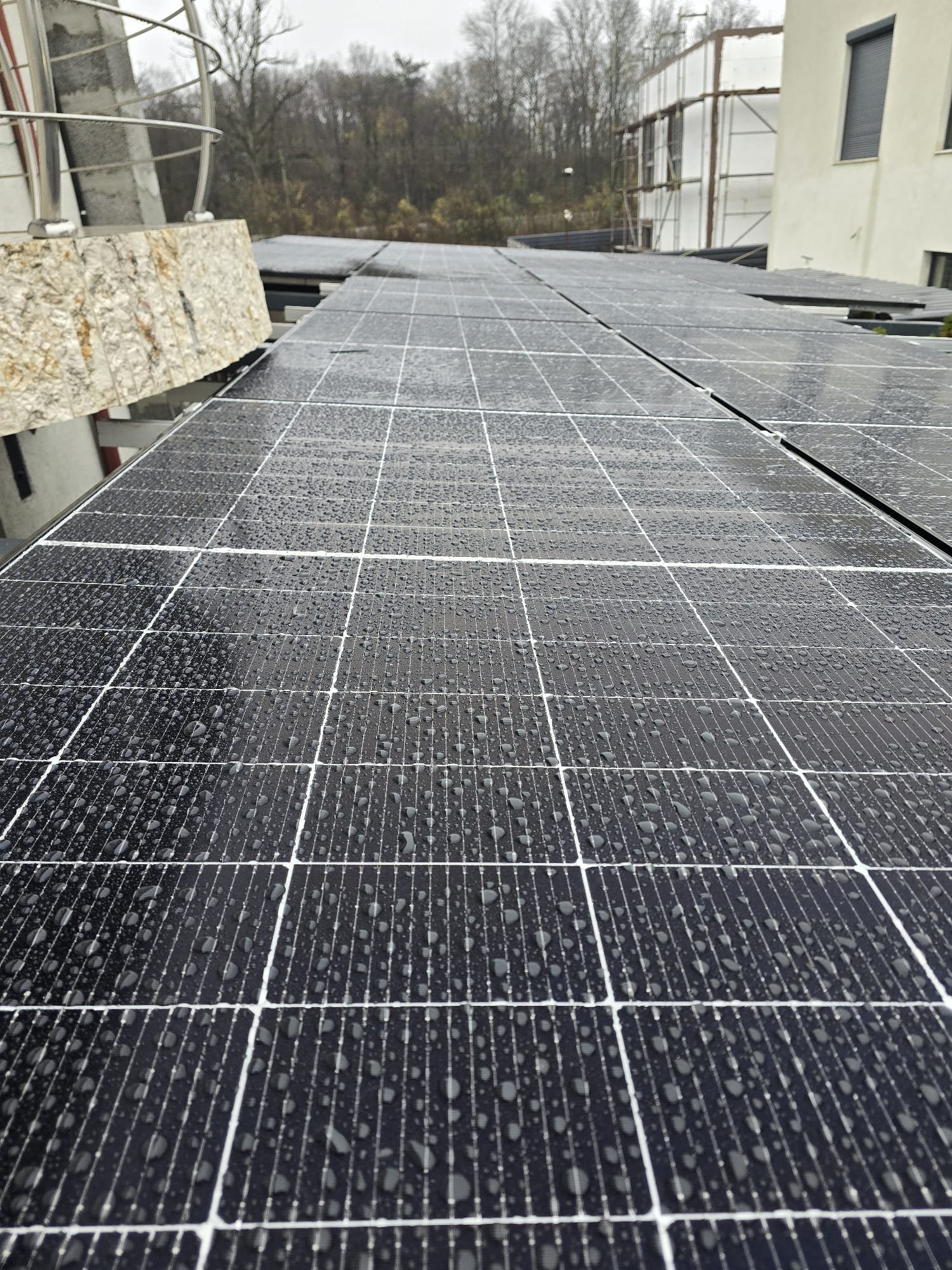 WhatsApp Image 2026-02-06 at 22.48.29